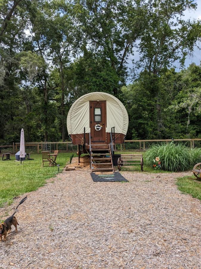 Rooterville Animal Sanctuary Melrose Екстериор снимка