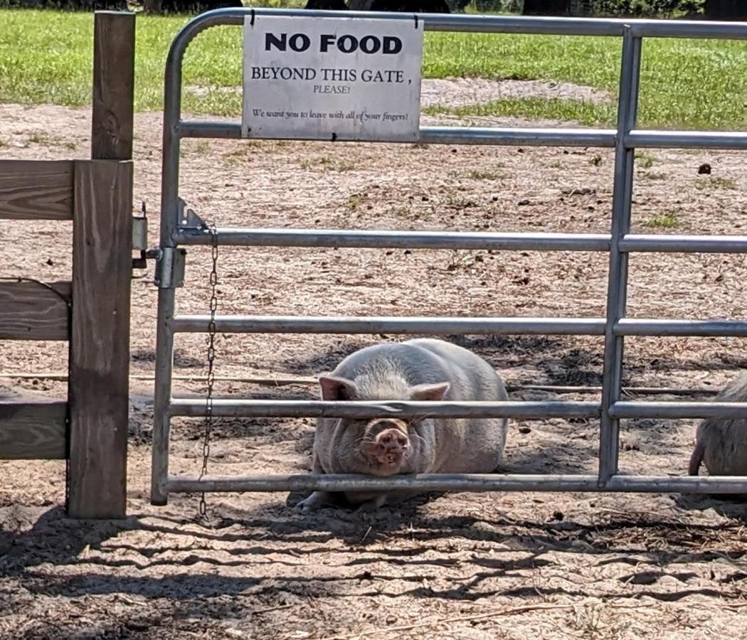 Rooterville Animal Sanctuary Melrose Екстериор снимка
