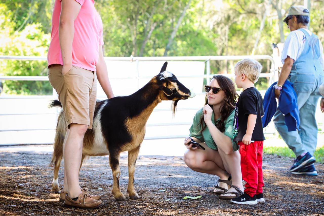 Rooterville Animal Sanctuary Melrose Екстериор снимка