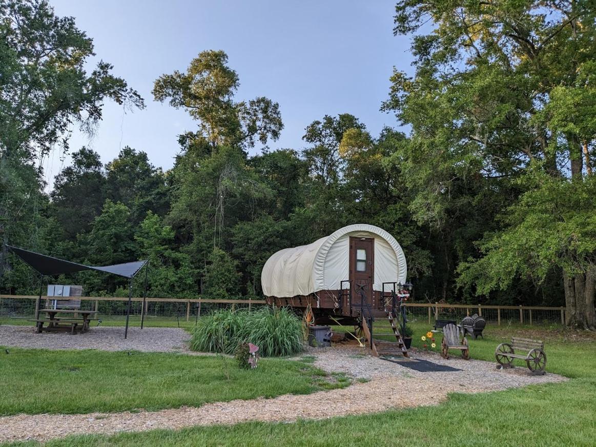 Rooterville Animal Sanctuary Melrose Екстериор снимка
