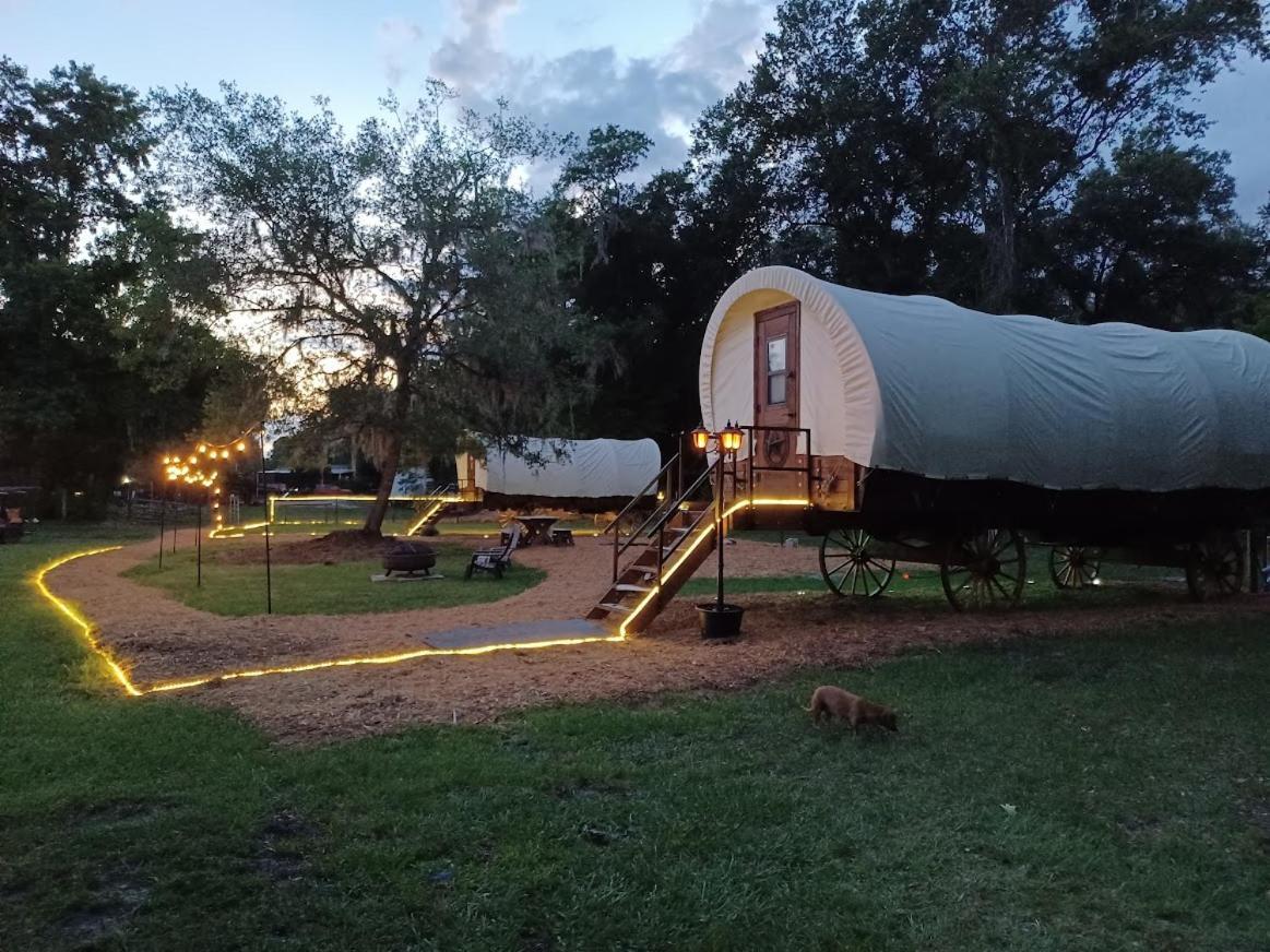 Rooterville Animal Sanctuary Melrose Екстериор снимка