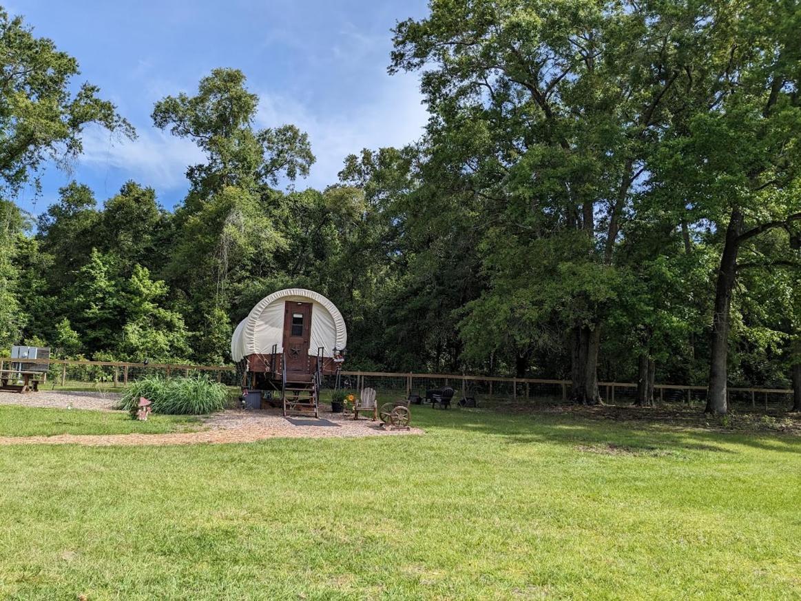 Rooterville Animal Sanctuary Melrose Екстериор снимка