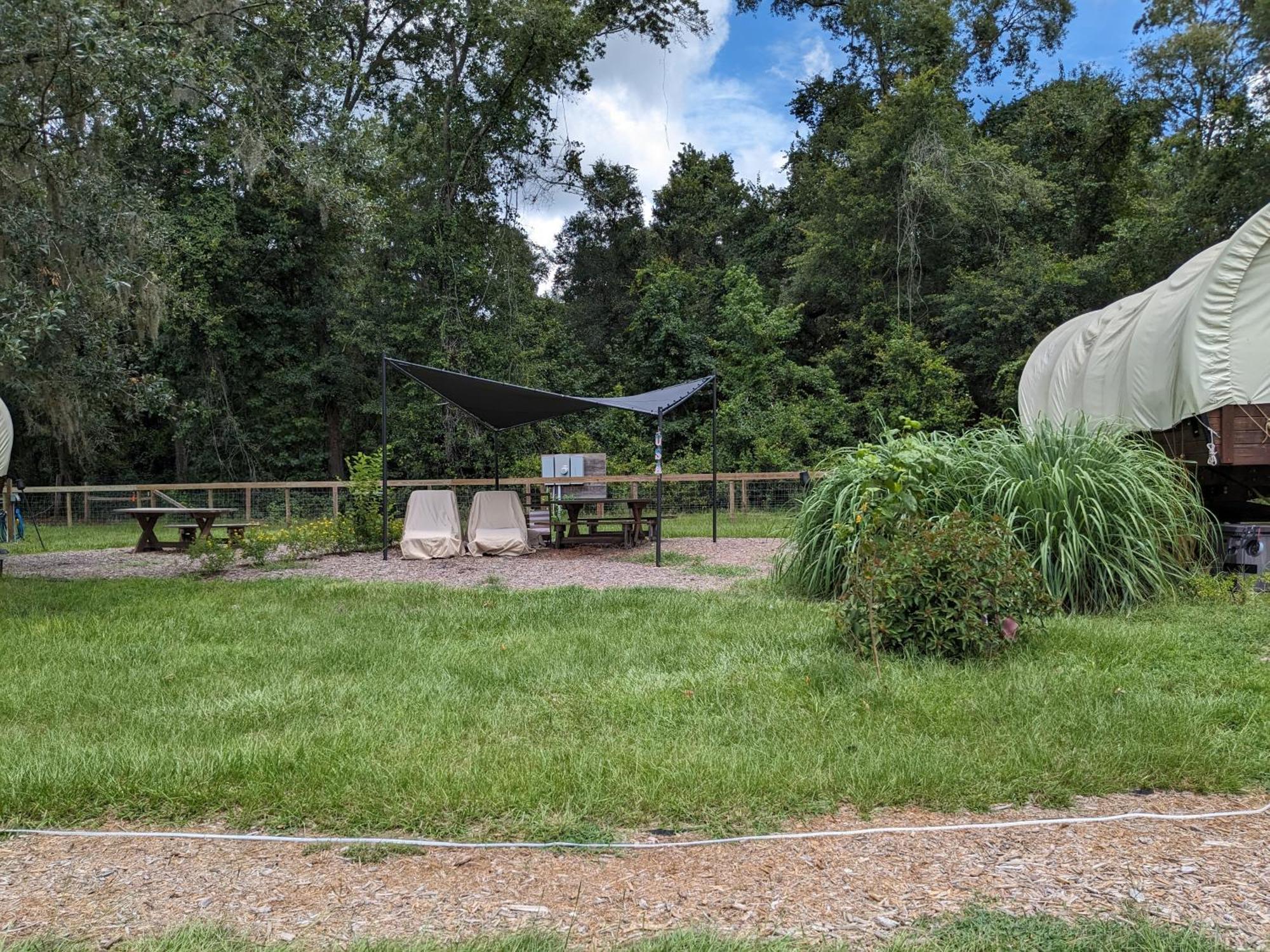 Rooterville Animal Sanctuary Melrose Екстериор снимка