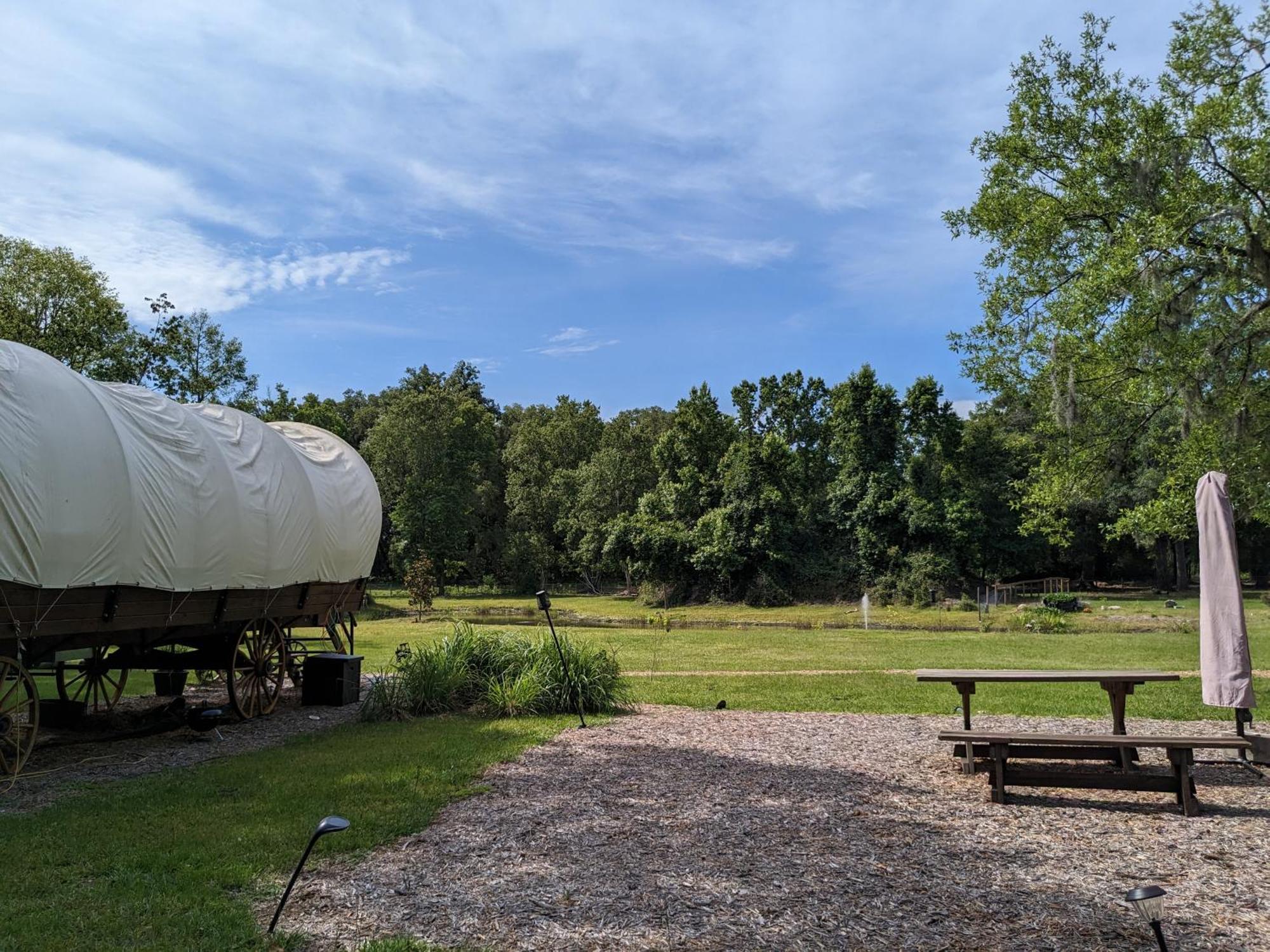 Rooterville Animal Sanctuary Melrose Екстериор снимка