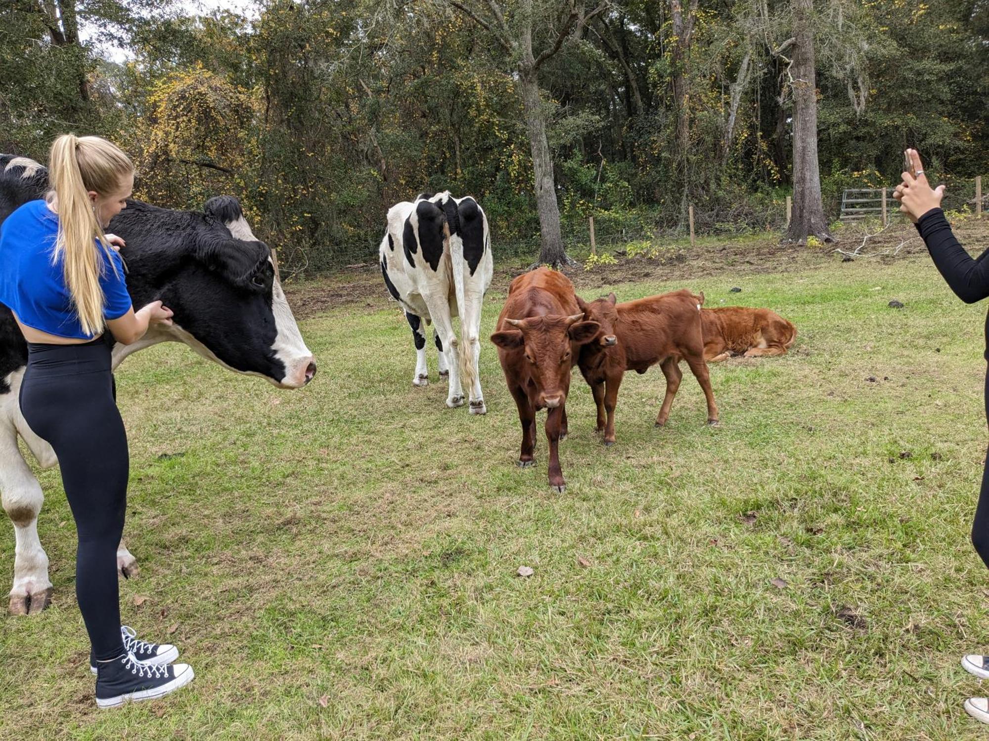 Rooterville Animal Sanctuary Melrose Екстериор снимка