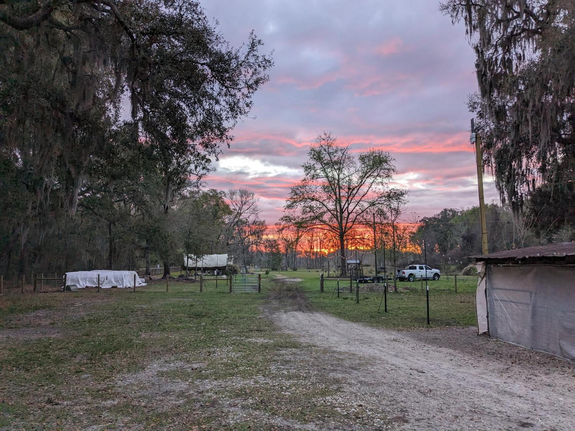 Rooterville Animal Sanctuary Melrose Екстериор снимка
